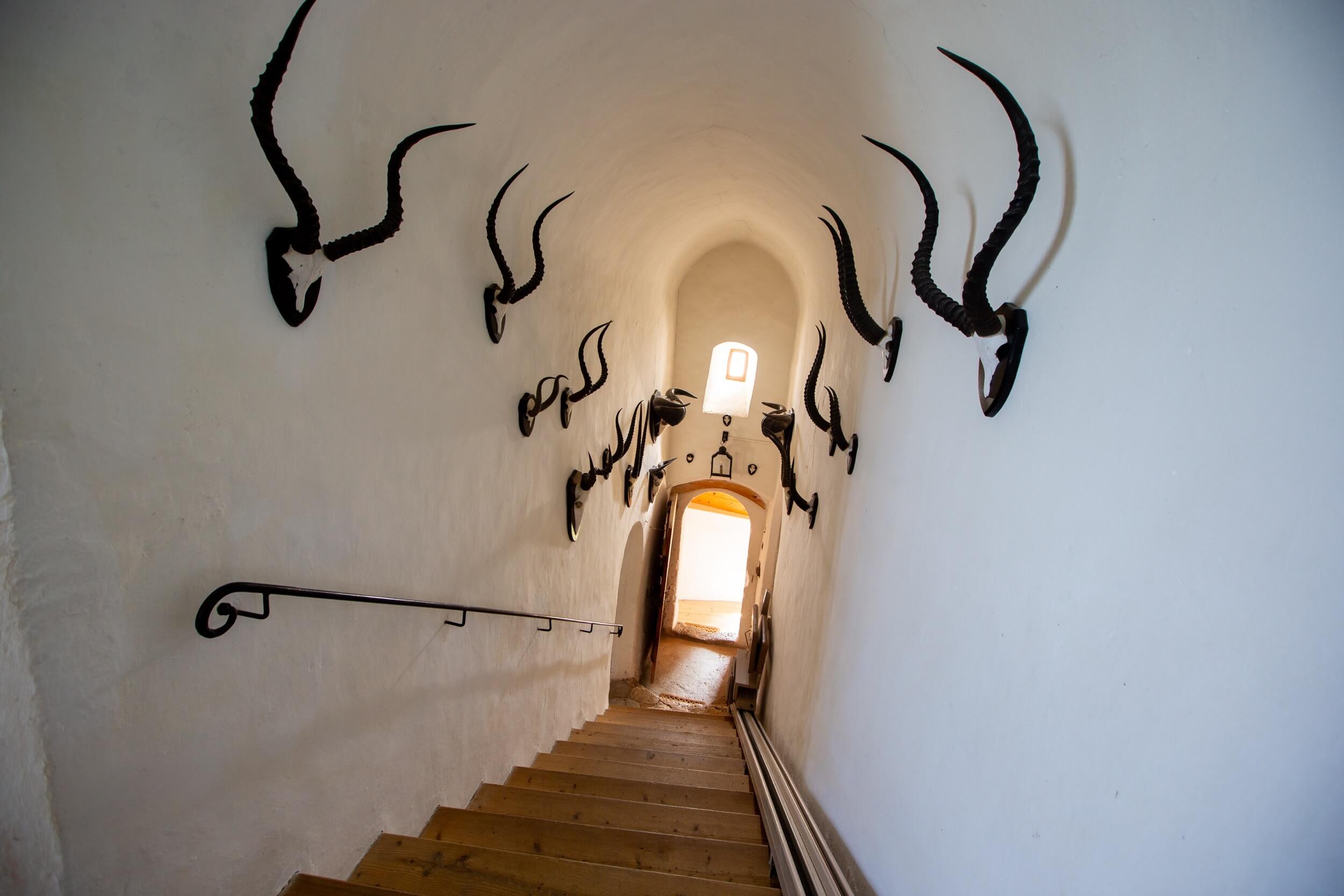 Schloss Stein Aufgang 4