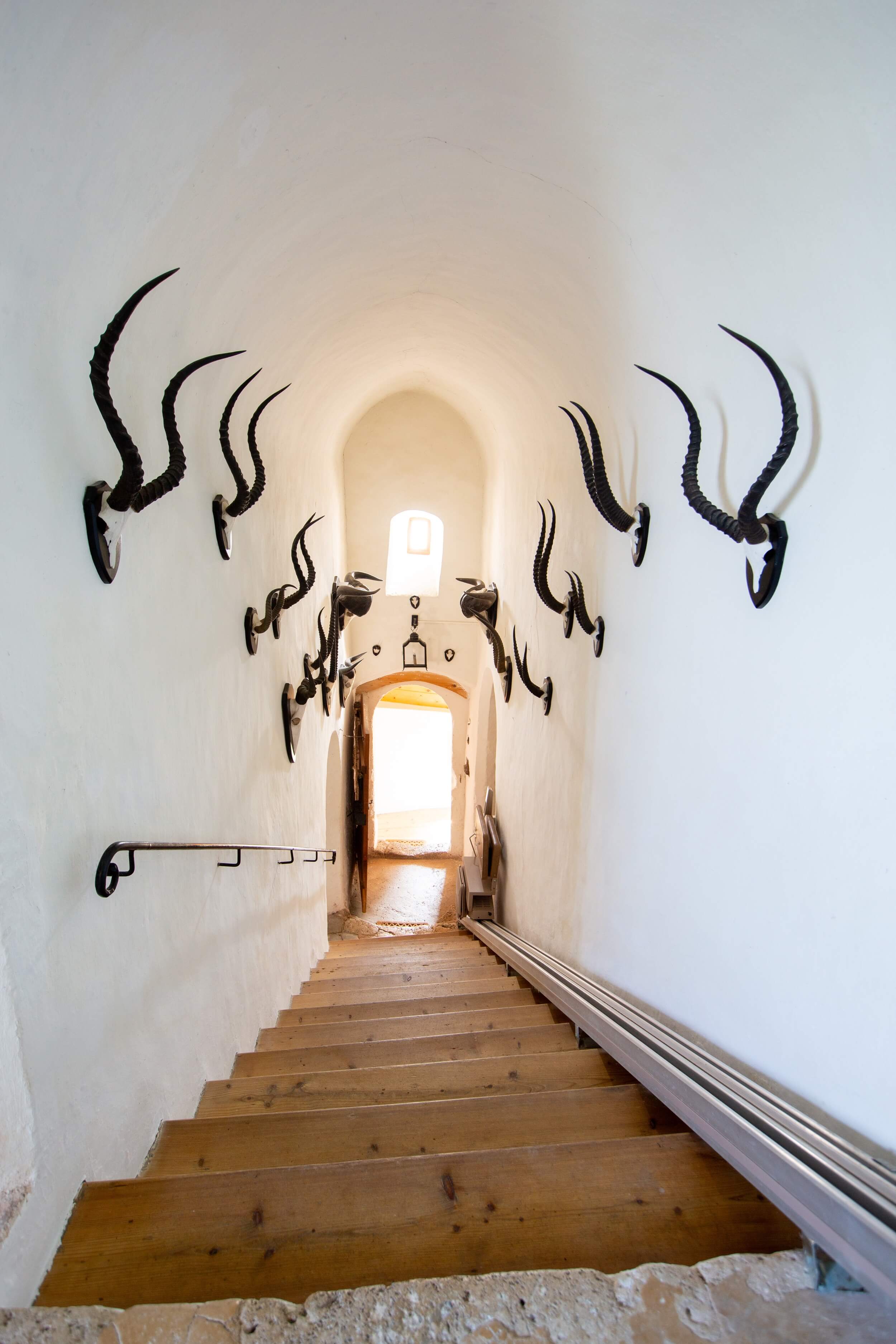 Schloss-Stein-Aufgang-5