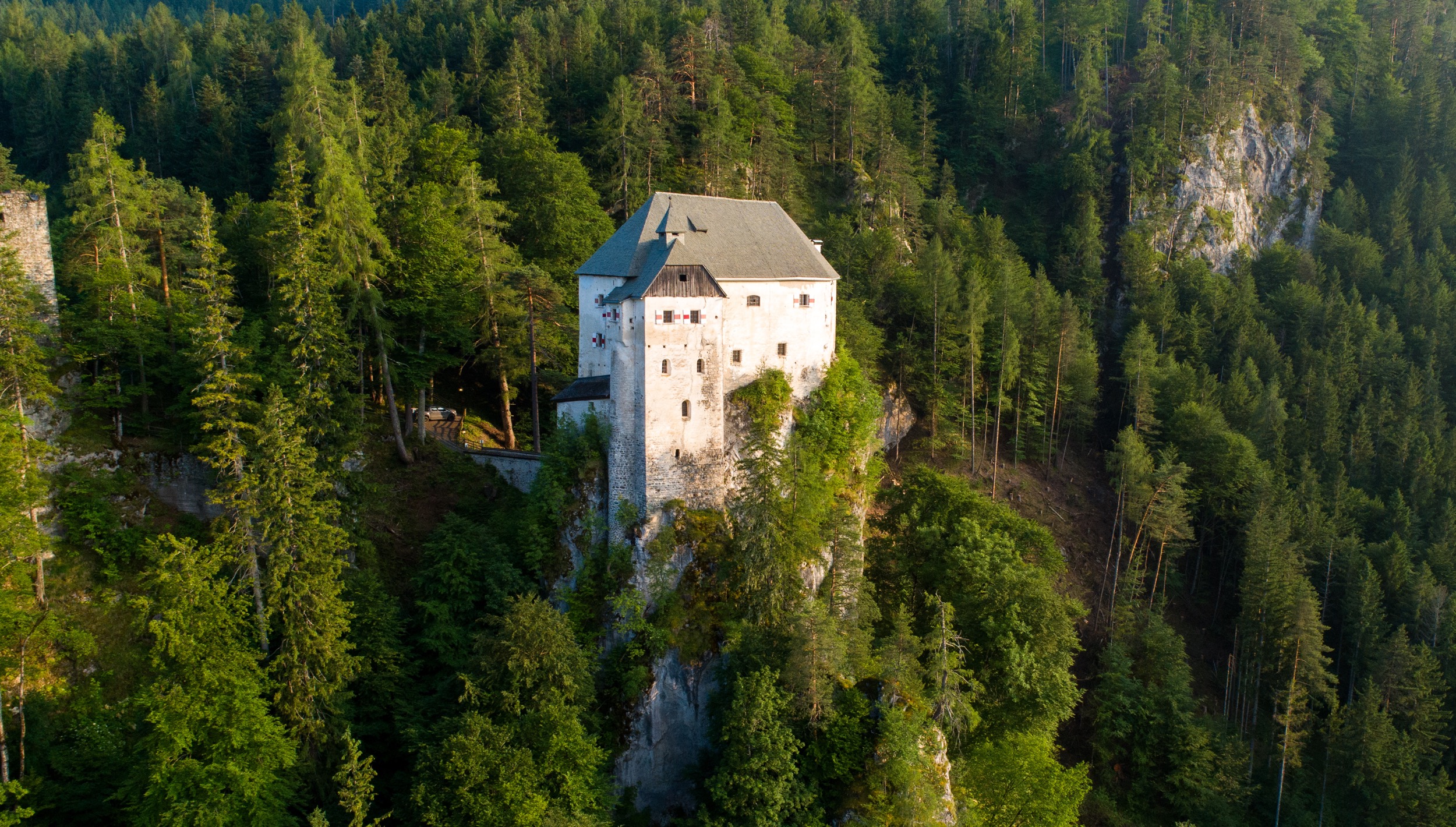 Schloss Stein Drautal Aussenansicht des Schlosses Wald Aufnahme 1