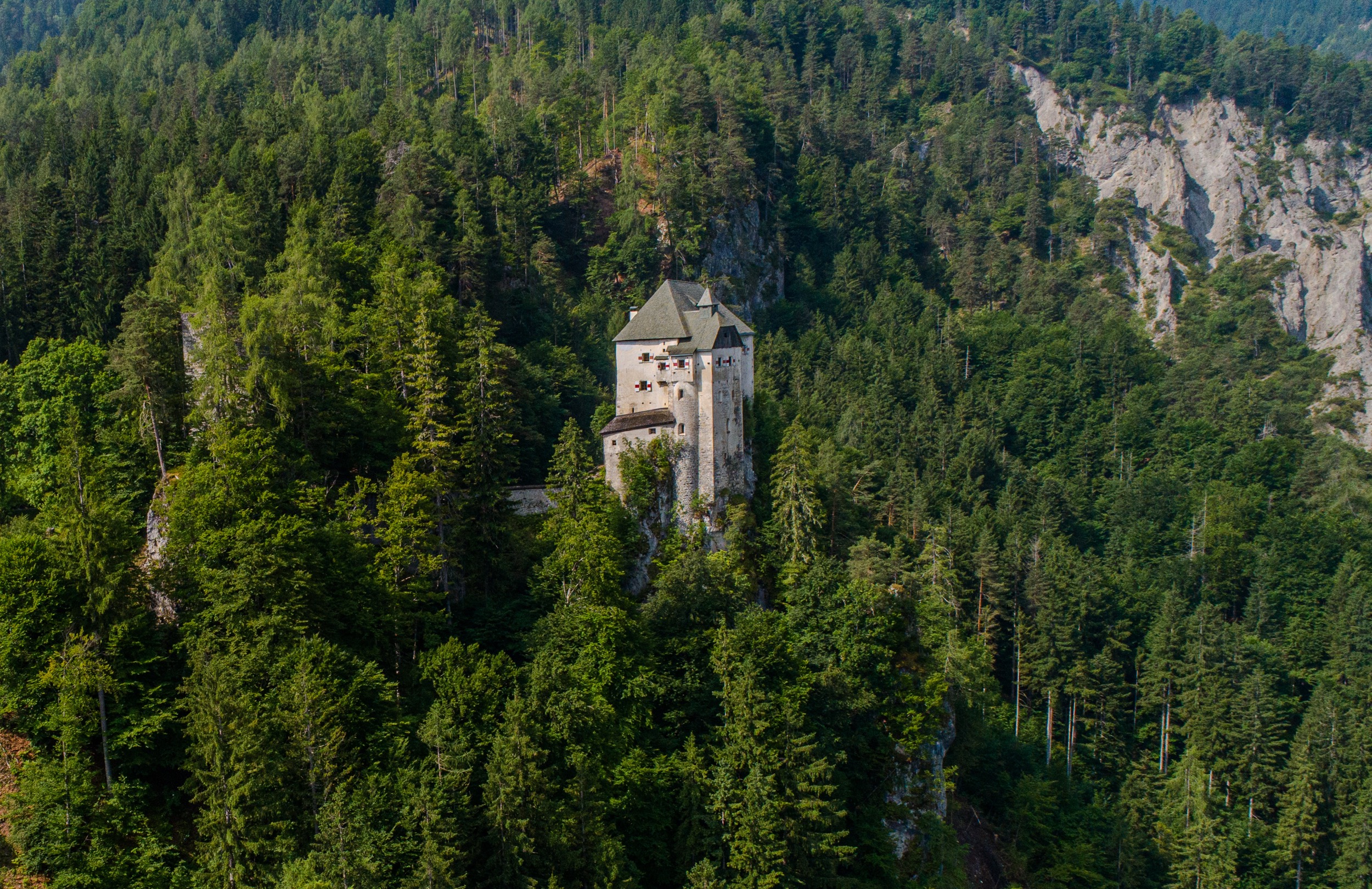 Schloss Stein Drautal Aussenansicht des Schlosses Wald Aufnahme 3