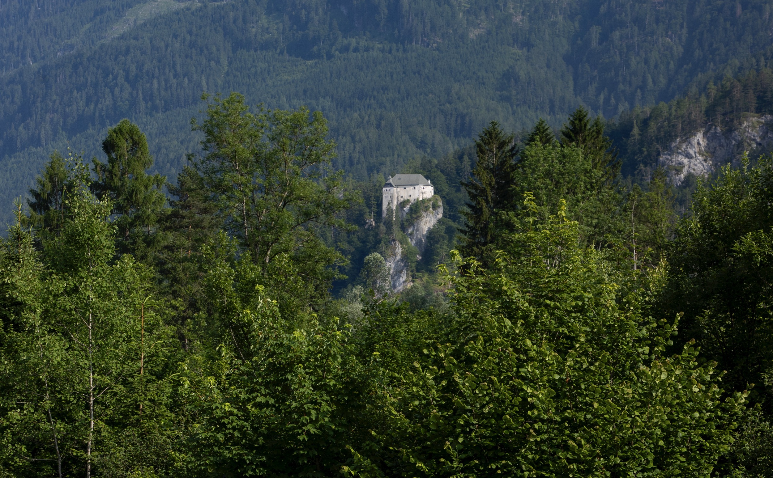 Schloss Stein Drautal Aussenansicht des Schlosses Wald Felsen 1
