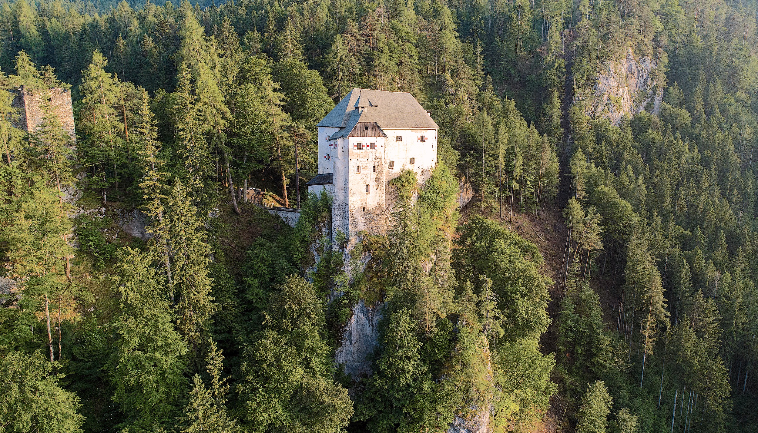 Schloss Stein Drautal Aussenansicht des Schlosses Wald Felsen 6