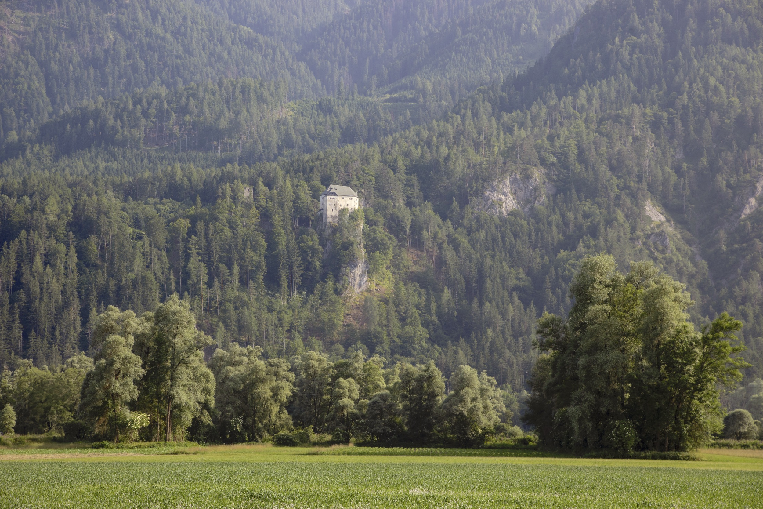 Schloss Stein Drautal Aussenansicht des Schlosses ansicht wald