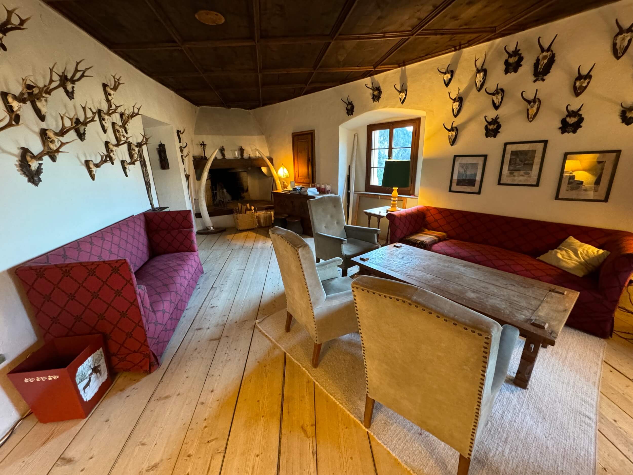 Schloss Stein Drautal Salon 2