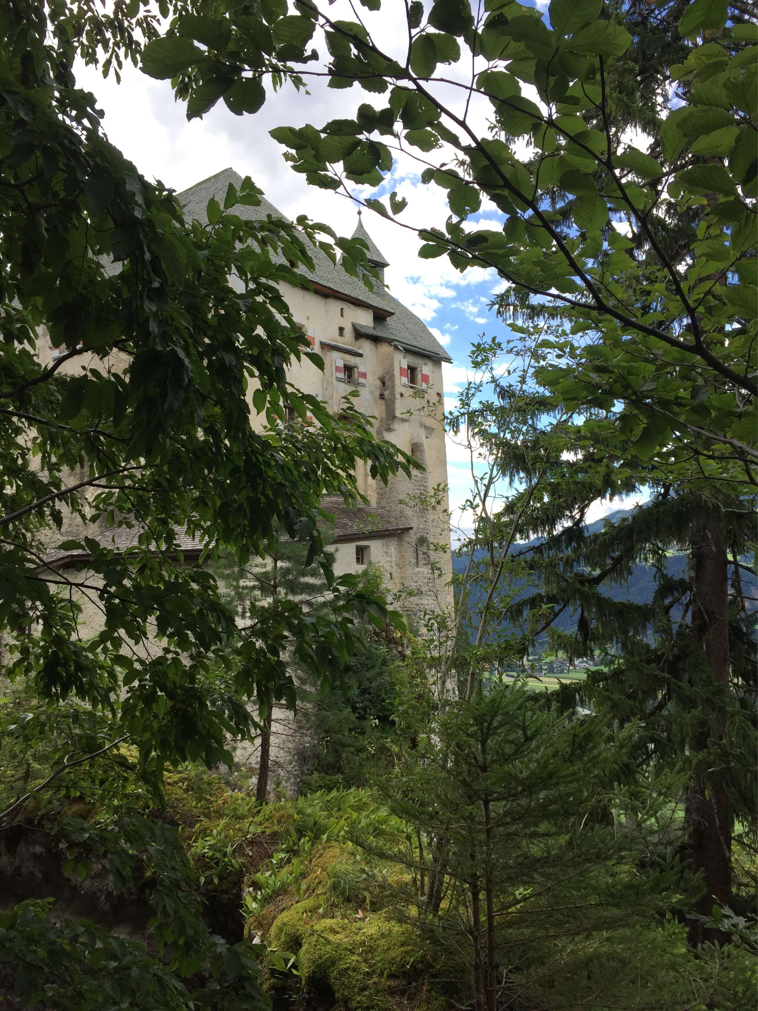 Schloss-Stein-Drautal-Schloss-aussen-versteckt