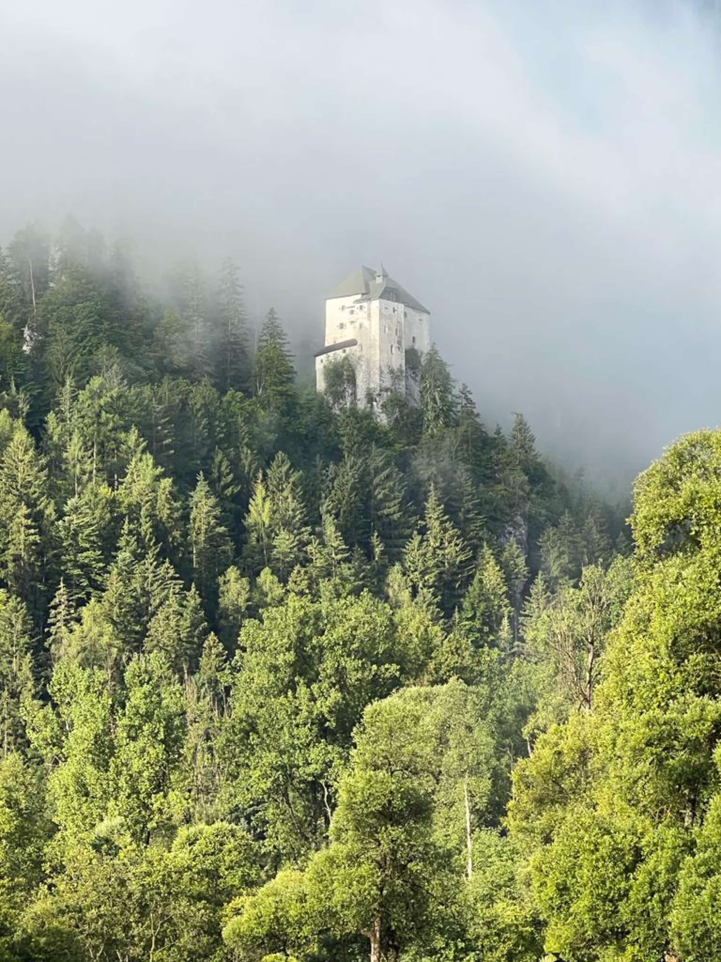 Schloss-Stein-Drautal-Schloss-aussen-vom-Tal